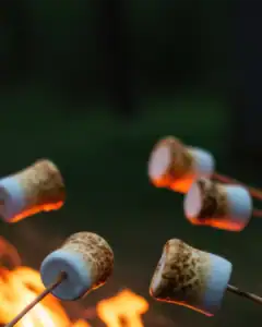 Outdoor marshmallow roasting over open fire at Cumberland Flux.
