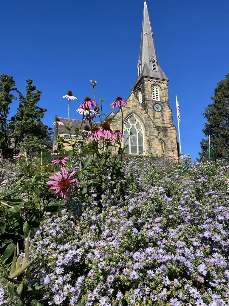 Purple asters and pink coneflowers fill the hillside garden in front of Emmanuel Parish's stone church and steeple on a clear summer day